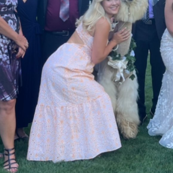 GORGEOUS Orange/ White Dress from Loft, Perfect for Wedding - Picture 8 of 9
